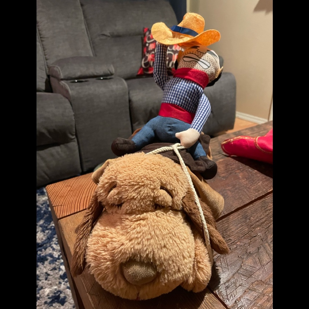 Cowboy riding dog costume